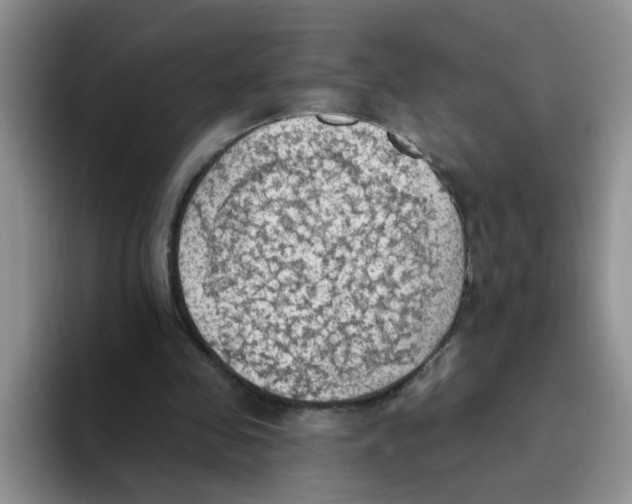 X0000093520341200711091743