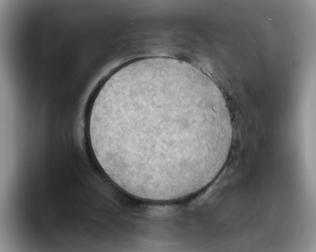 X0000093520342200711091743