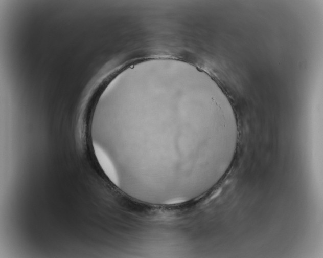 X0000093520343200711091743