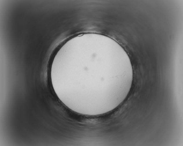 X0000093520344200711091743