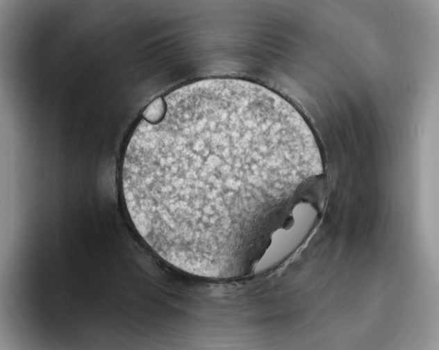 X0000093520345200711091743