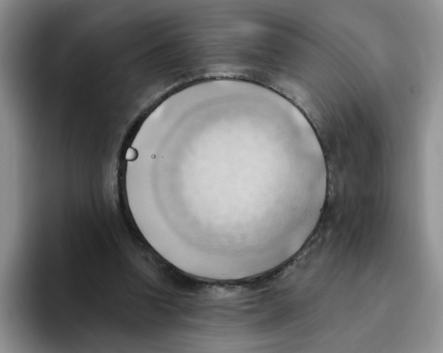 X0000093520346200711091743