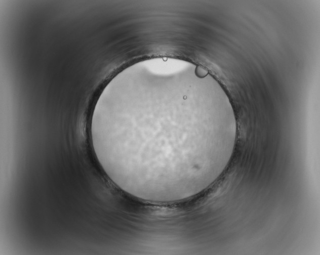 X0000093520347200711091743