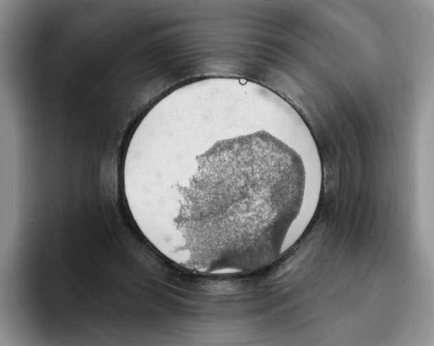 X0000093520349200711091743