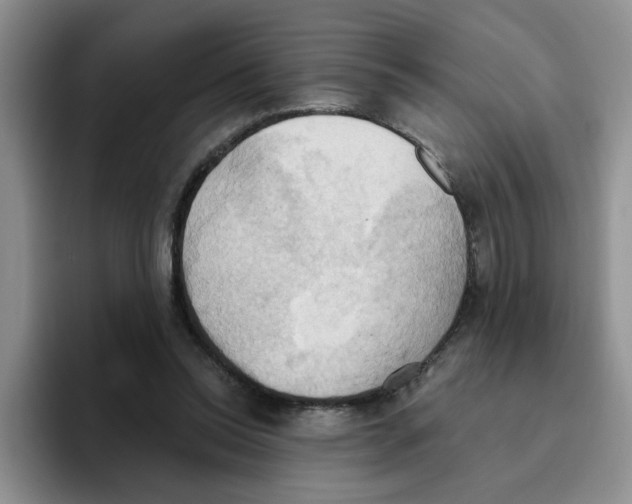 X0000093520350200711091743