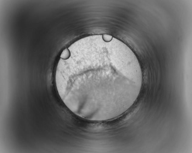 X0000093520351200711091743