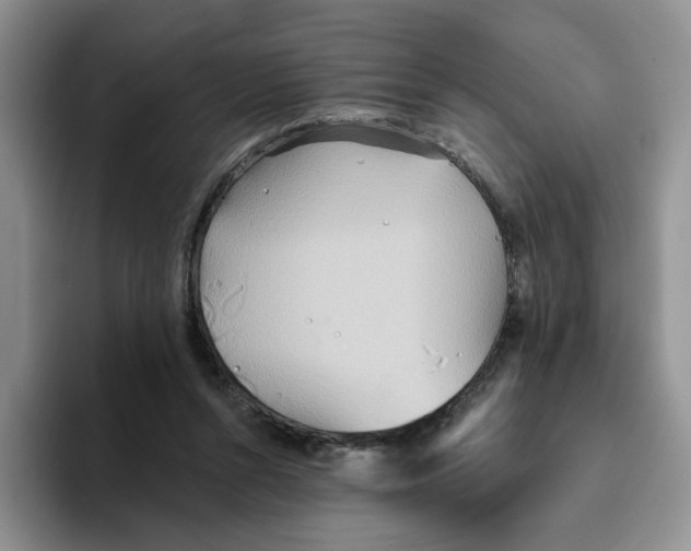 X0000093520352200711091743