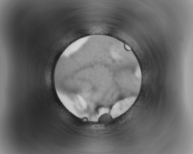 X0000093520353200711091743