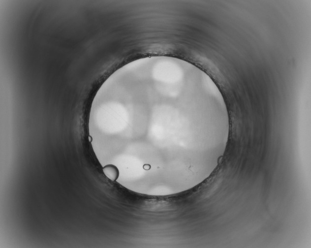 X0000093520354200711091743