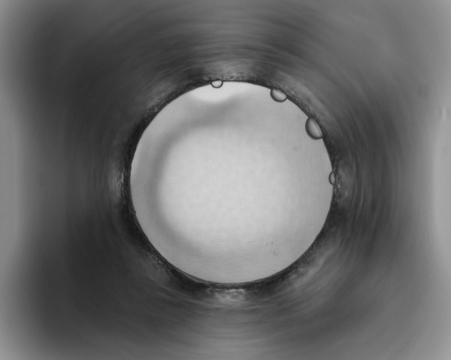 X0000093520355200711091743