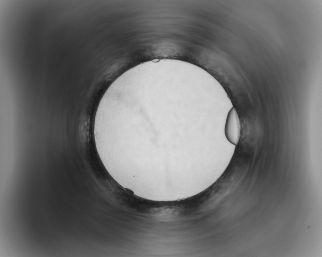 X0000093520356200711091743