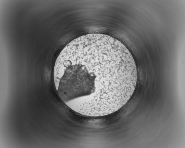 X0000093520357200711091743