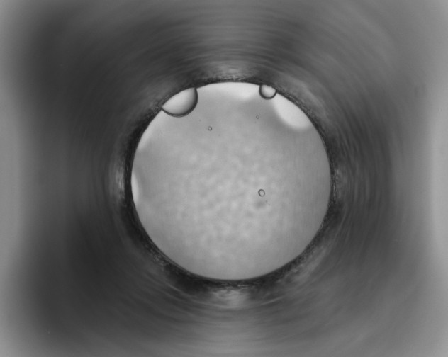 X0000093520358200711091743