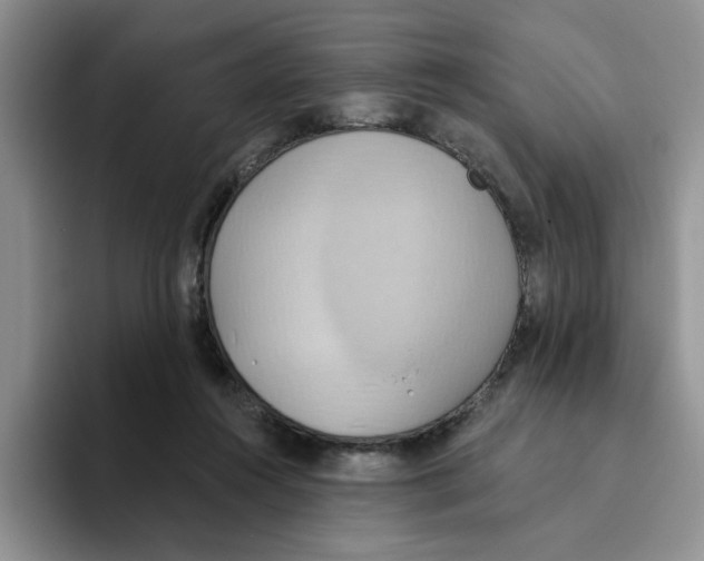 X0000093520360200711091743