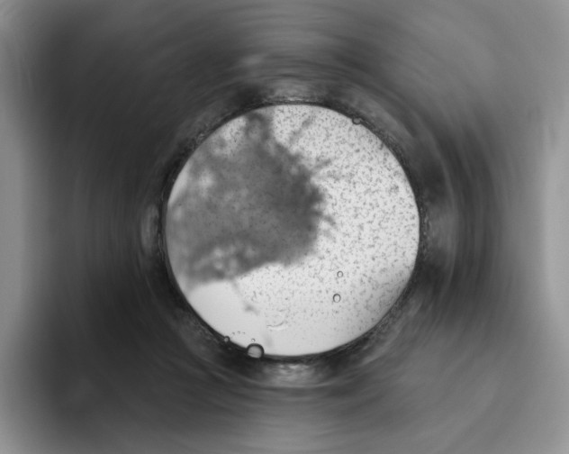 X0000093520361200711091743