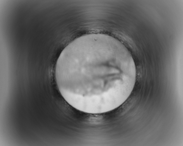 X0000093520369200711091744