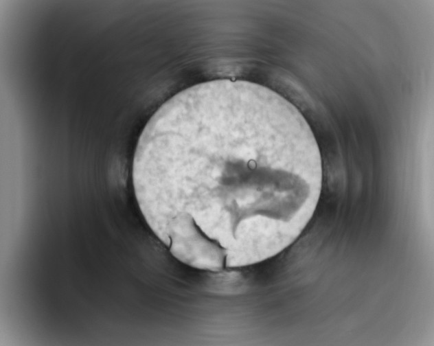 X0000093520374200711091744