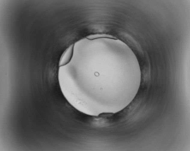 X0000093520376200711091744