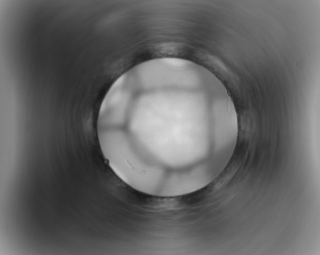 X0000093520377200711091744