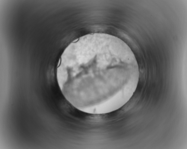 X0000093520381200711091744