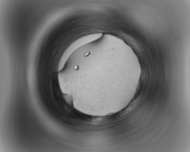 X0000093520382200711091744