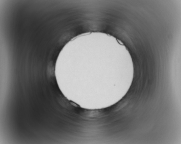 X0000093520384200711091744