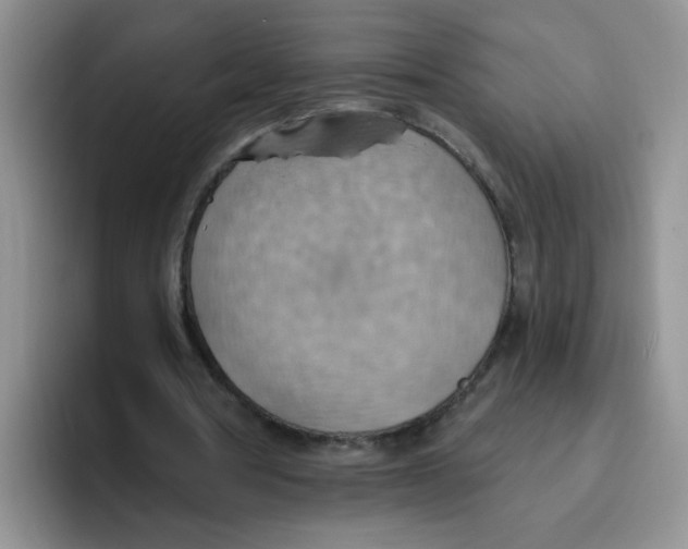 X0000093520386200711091743