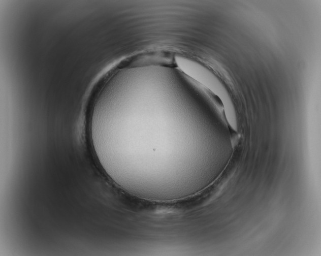 X0000093520388200711091743