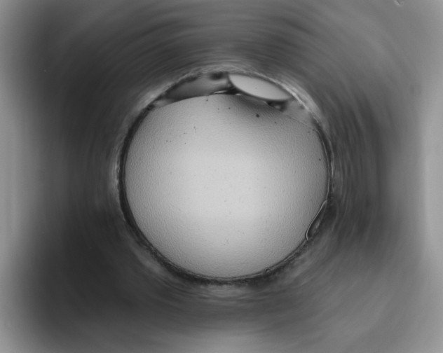 X0000093520389200711091743