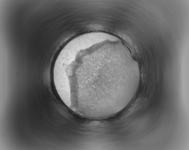 X0000093520390200711091743