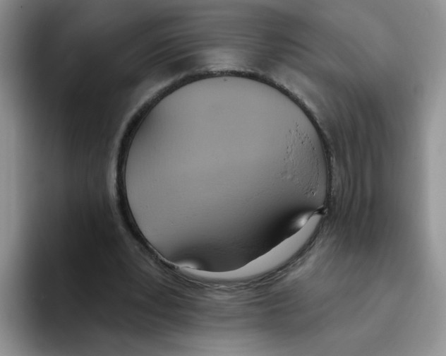 X0000093520391200711091743