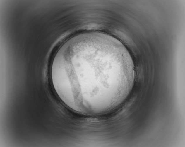 X0000093520392200711091743