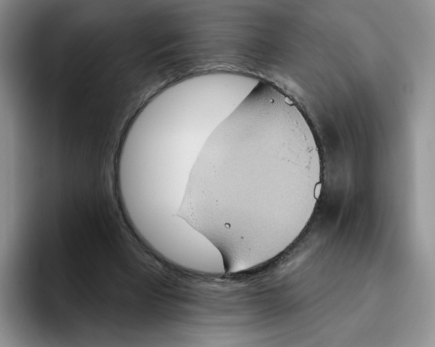 X0000093520393200711091743