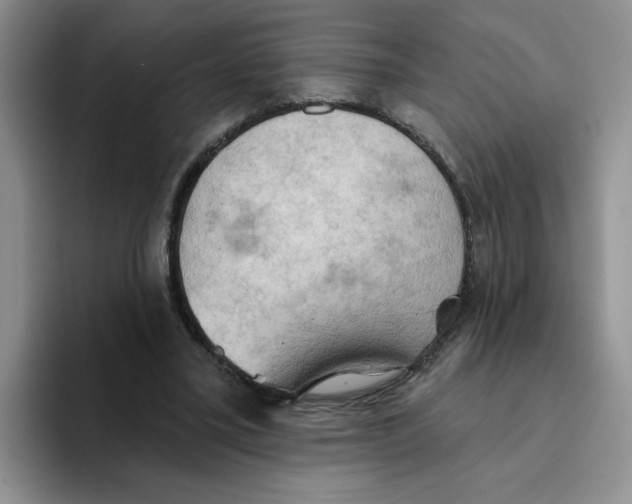 X0000093520395200711091743