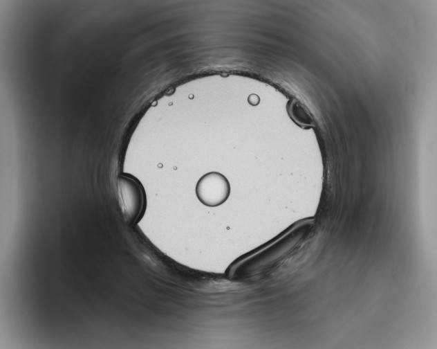 X0000093520397200711091743