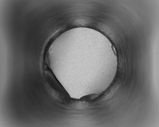 X0000093520399200711091743