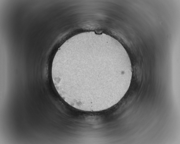 X0000093520400200711091743