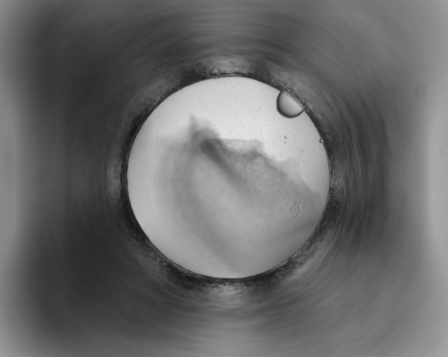 X0000093520402200711091743