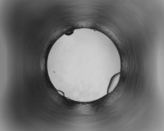 X0000093520403200711091743