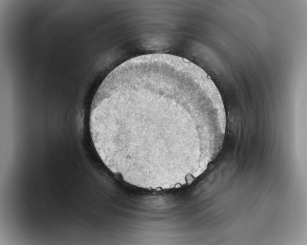 X0000093520404200711091743