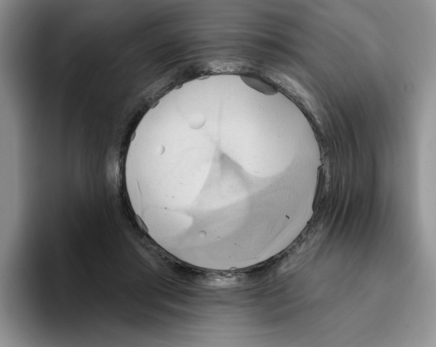 X0000093520405200711091743