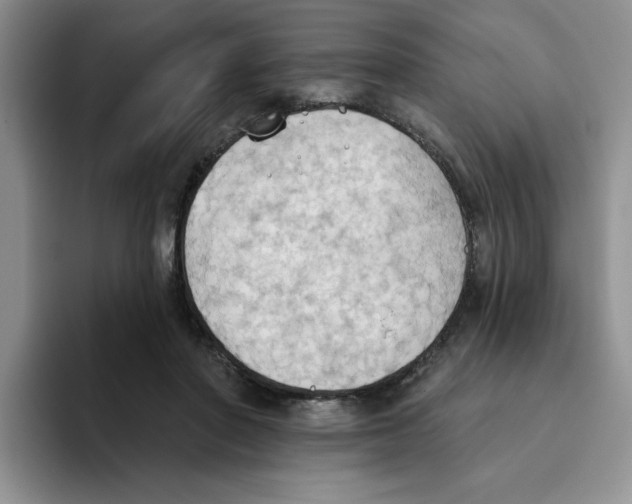 X0000093520406200711091743