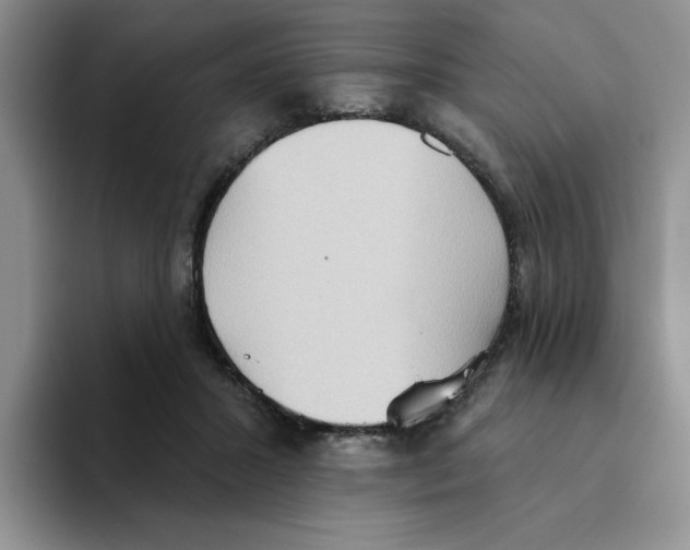 X0000093520407200711091743