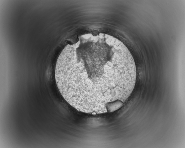 X0000093520408200711091743