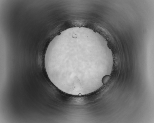 X0000093520409200711091743