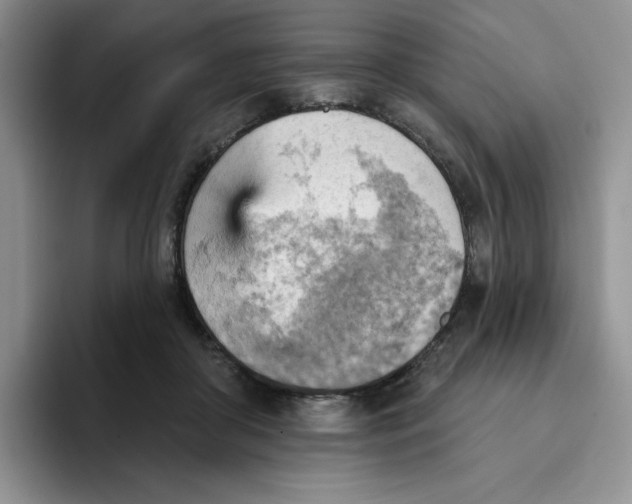 X0000093520410200711091743