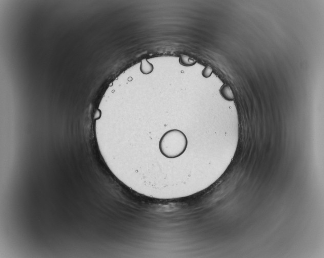 X0000093520411200711091743