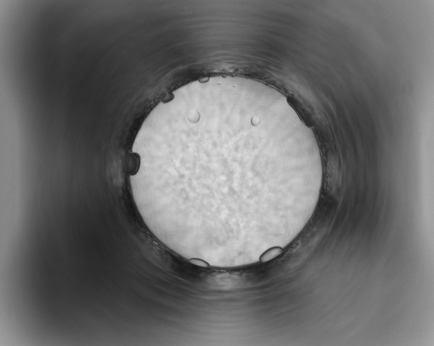 X0000093520413200711091743