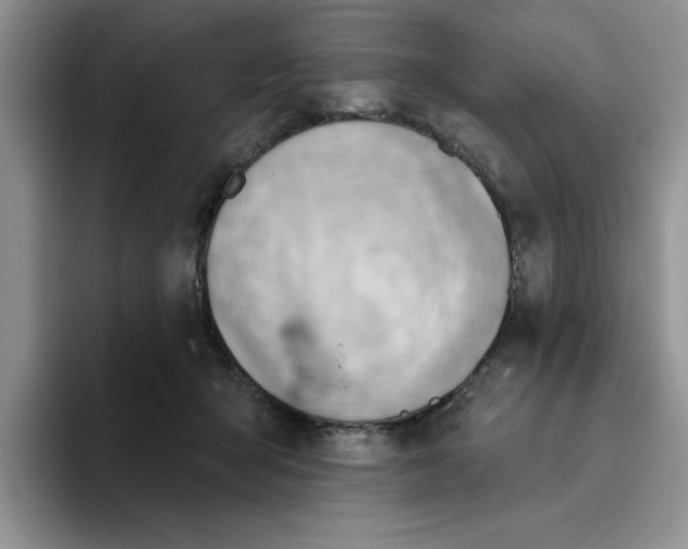 X0000093520415200711091743