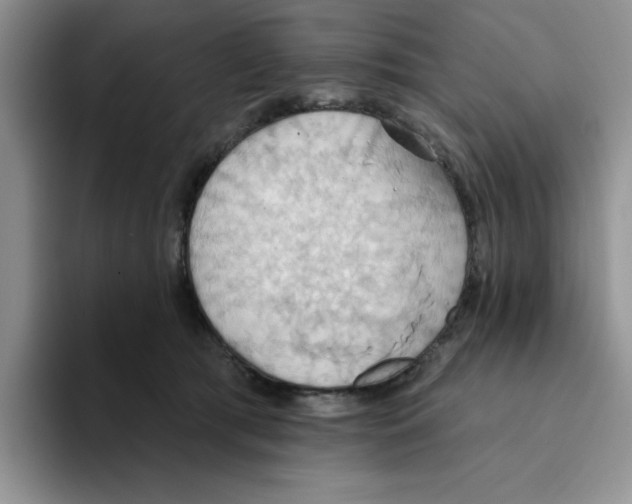 X0000093520417200711091743